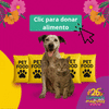 Campaña de Donación: Alimenta una Esperanza, Transforma una Vida