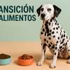 La Transición de Alimento para tu Mascota: Una Decisión que Va Más Allá de la Marca