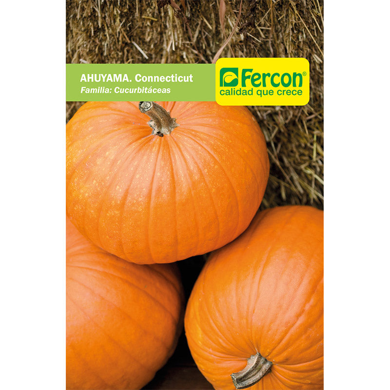 Semillas Ahuyama Connecticut Sobre x 2 gr