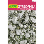 Gypsophila Copo de Nieve x 2 g