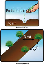 Semilla Lulo Sobre x2 gr