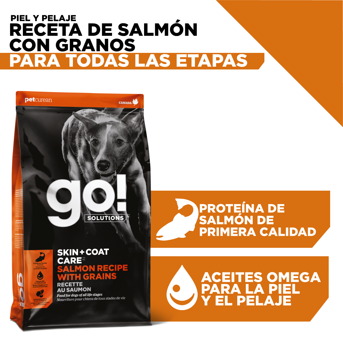 Go! Skin + Coat Receta De Salmón Para Perros 1.6Kg