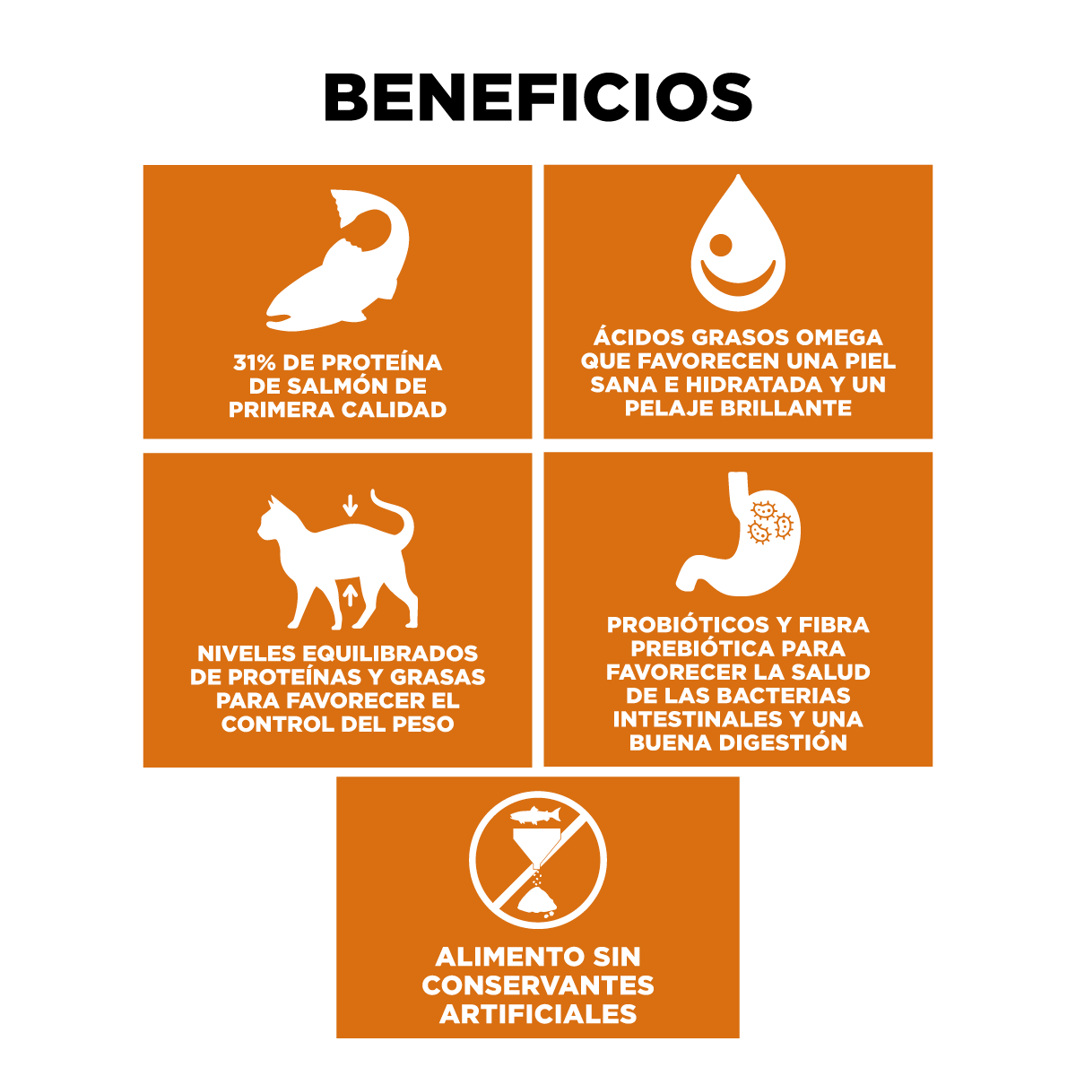 Go! Skin + Coat Receta De Salmón Para Gatos 1.4Kg