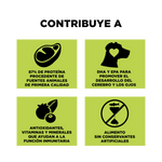 Go! Carnivore Receta De Pollo. Pavo Y Pato Para Perros Cachorros 1.6Kg