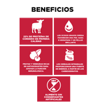 Go! Skin + Coat Receta De Cordero Para Perros 1.6Kg