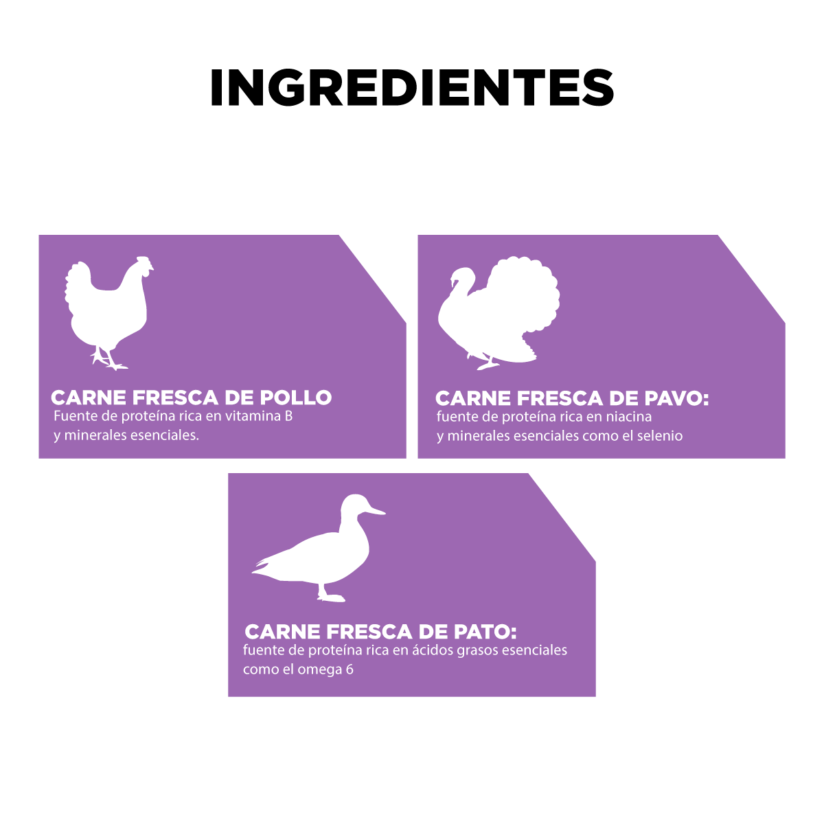 Go! Carnivore Receta De Pollo. Pavo Y Pato Para Perros Senior 1.6Kg