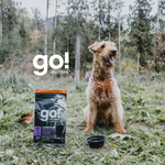 Go! Carnivore Receta De Pollo. Pavo Y Pato Para Perros Senior 1.6Kg