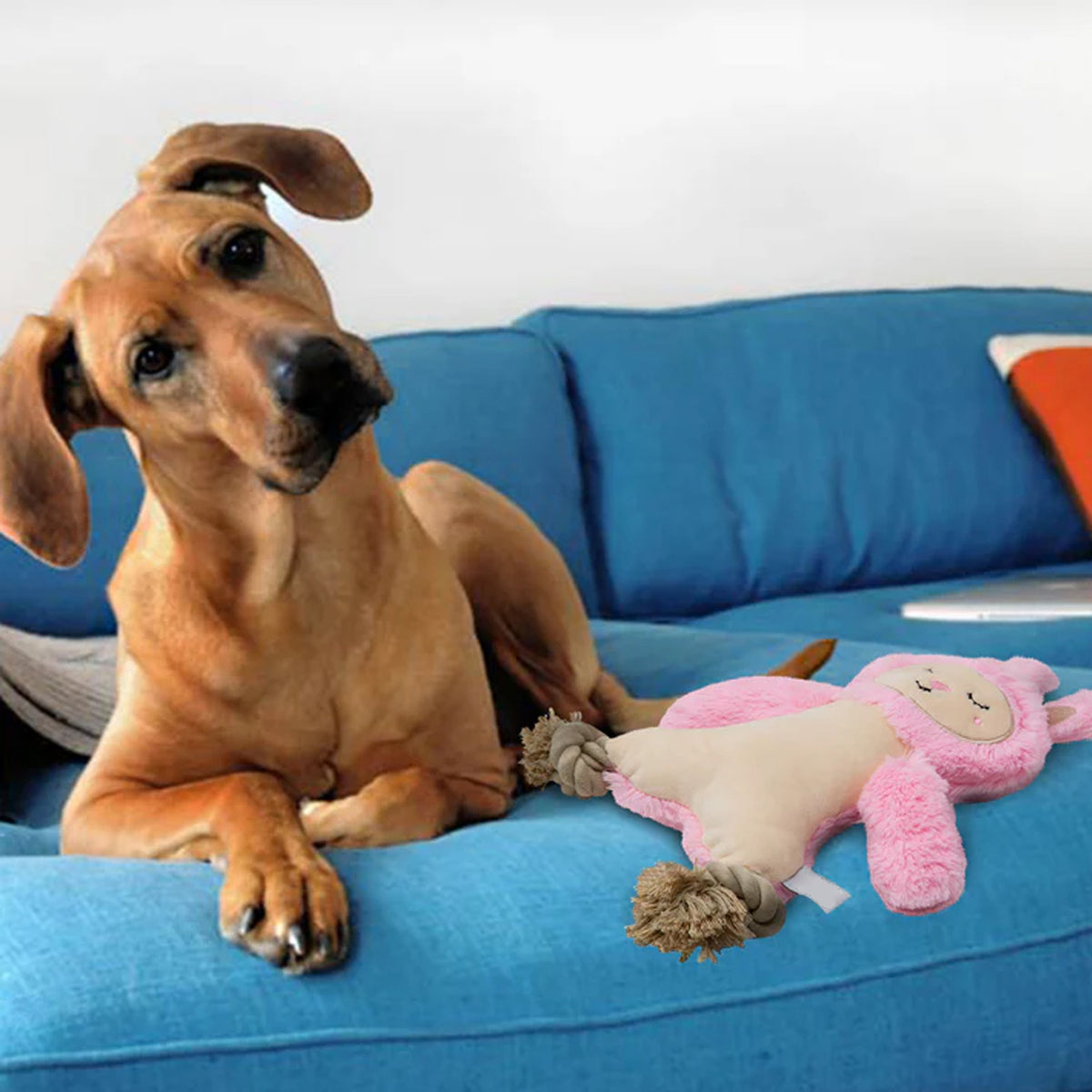 Conejo de Felpa con Patas de Cuerda para perros