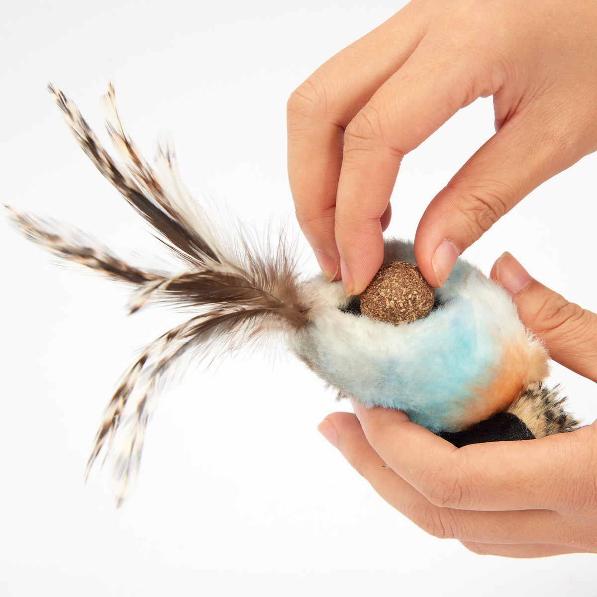 Águila con Sonido y Catnip para gatos