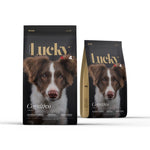 Lucky Perro Desarrollo Cognitivo 4Kg