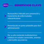 Suplemento Ol Trans para Perros y Gatos 800 G