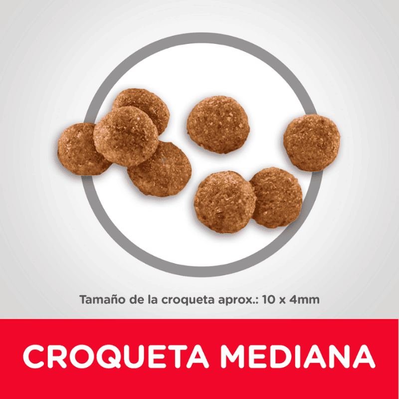 Comida para perros Hills Cachorros Razas Medianas15.5Lbs