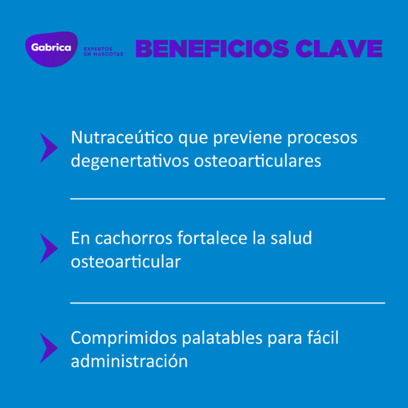 Suplemento Ol Trans Flex para Perros Blister 7 Comprimidos