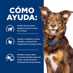 Comida para perro Hills Metabolic 17.6 Lbs
