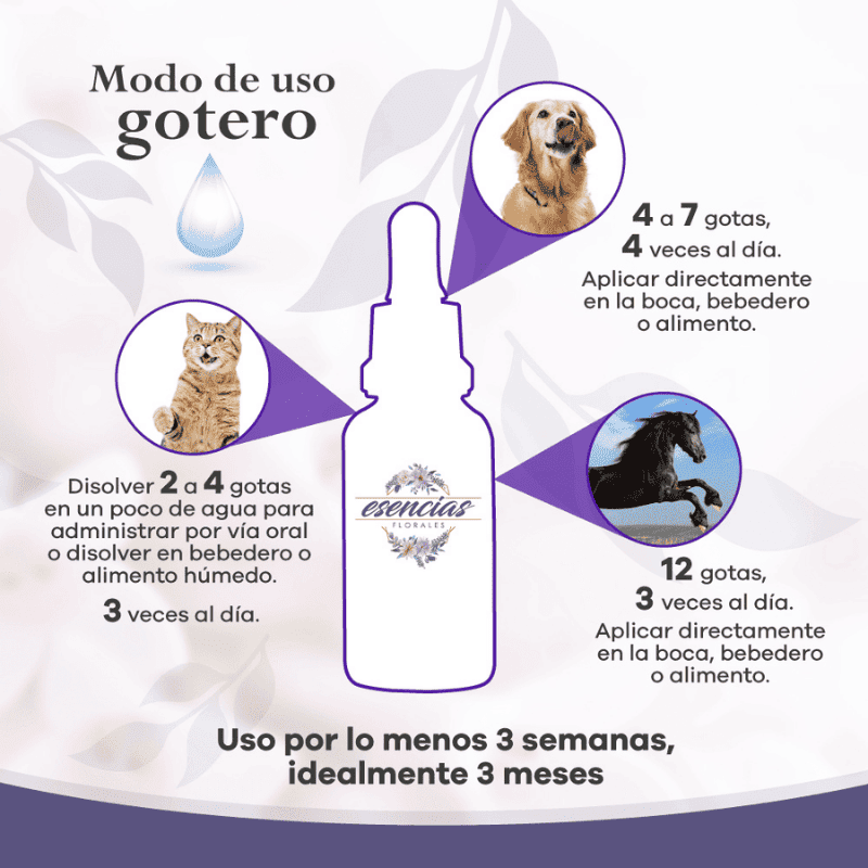 Esencia floral Miedo Gotas 30 ml