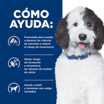 Comida para perro Hills c/d Urinary Care 8.5Lbs