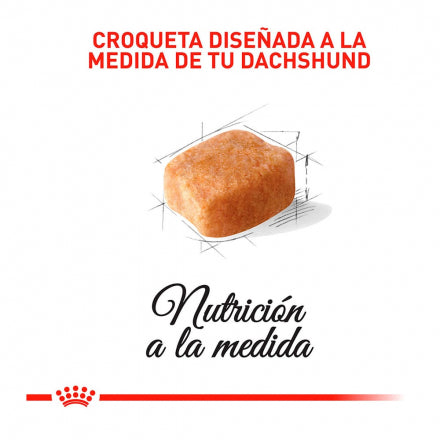 Royal Canin Dachshund Adulto 1.5 kg
