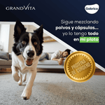 Comida para Perro Grandvita adulto 8kg