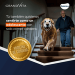 Comida para Perro Grandvita adulto 7+ 8kg