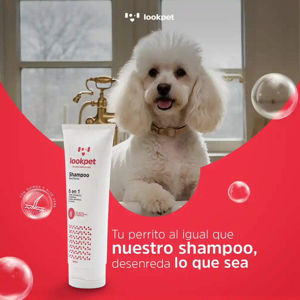 Shampoo 6 en 1 Perros Adultos Lookpet X 250 Ml