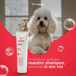 Shampoo 6 en 1 Perros Adultos Lookpet X 250 Ml