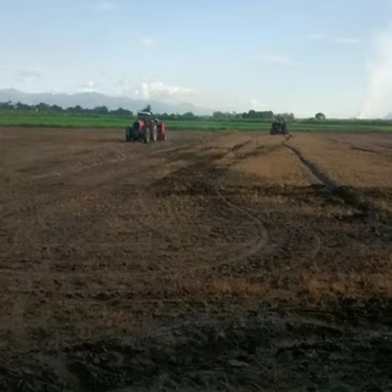 A-MICSUR Zn Fertilizante Líquido