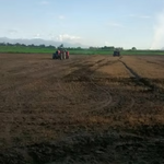 A-MICSUR Zn Fertilizante Líquido