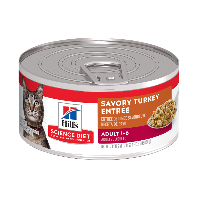 Hills Feline Adult Turkey 5.5 Oz Gatos Adultos
