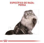 Royal Canin Persian Adulto 2Kg