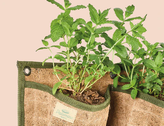 Jardín Vertical de Fibra de Coco x 3