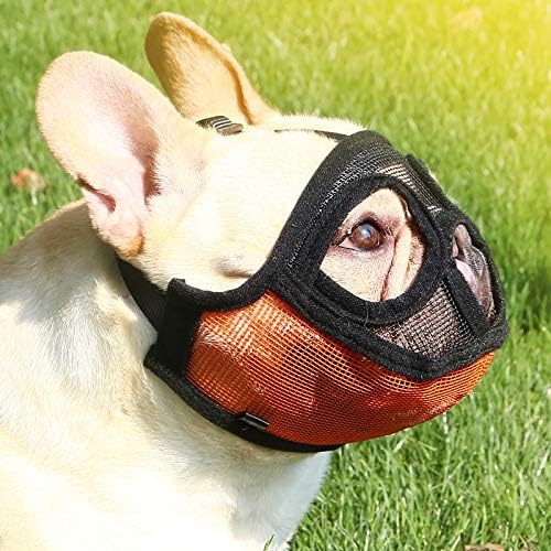 Bozal para Perros Ñatos