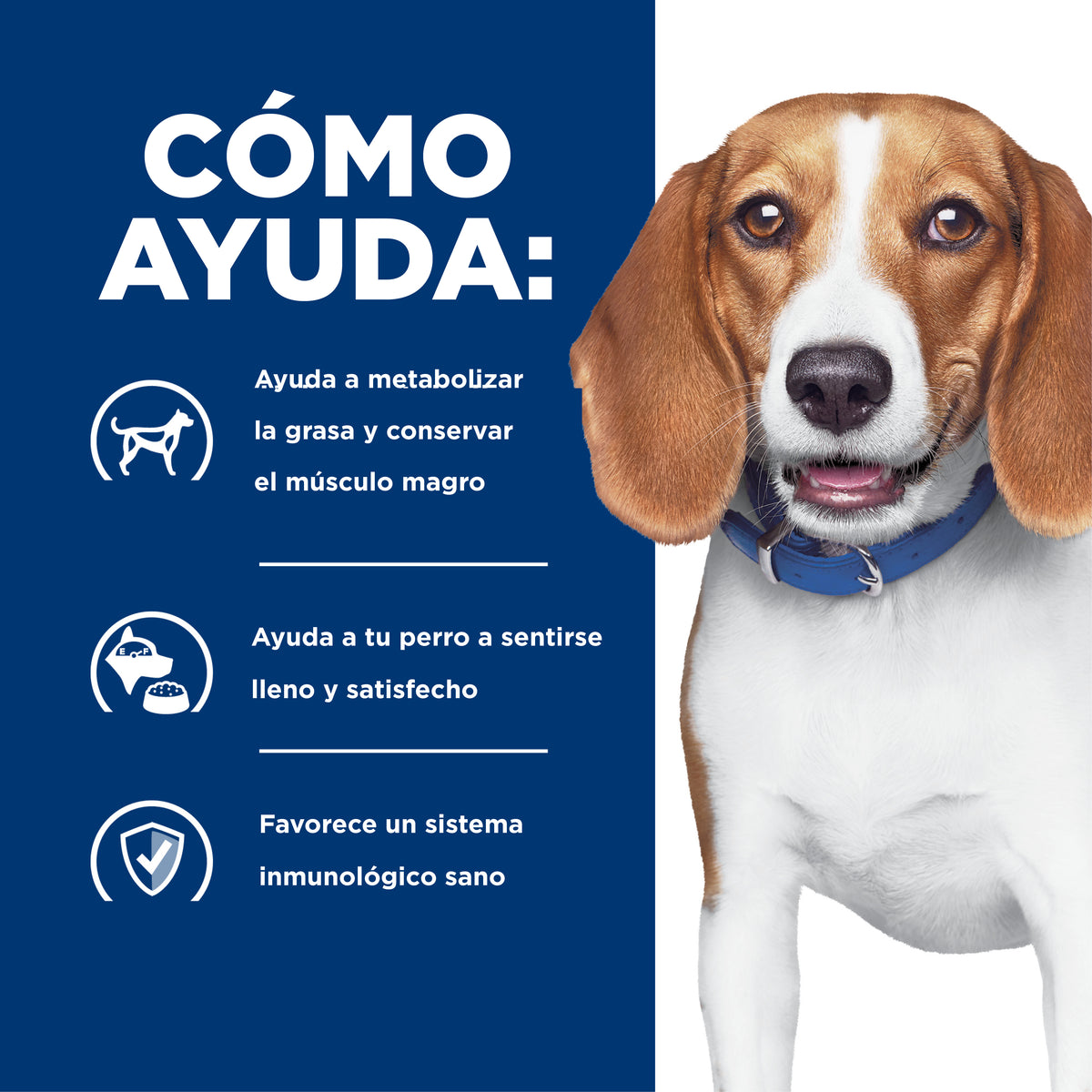 Comida para perro Hills Reducción de peso r/d 1.5Kg