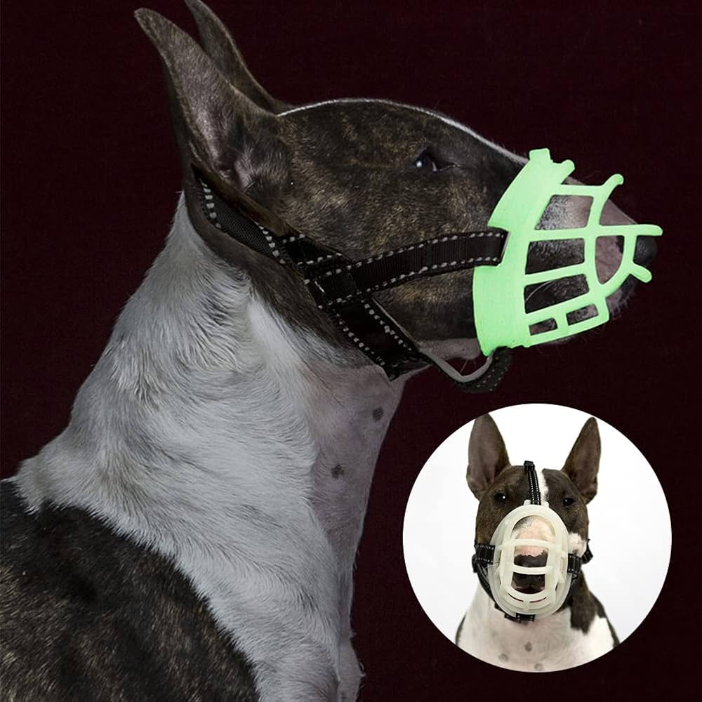 Bozal Que Alumbra En La Oscuridad