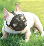 Bozal para Perros Ñatos