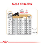 Royal Canin Persian Adulto 2Kg