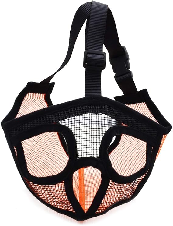 Bozal para Perros Ñatos