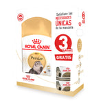 Of Royal Persian Adulto + 3 Latas Pers