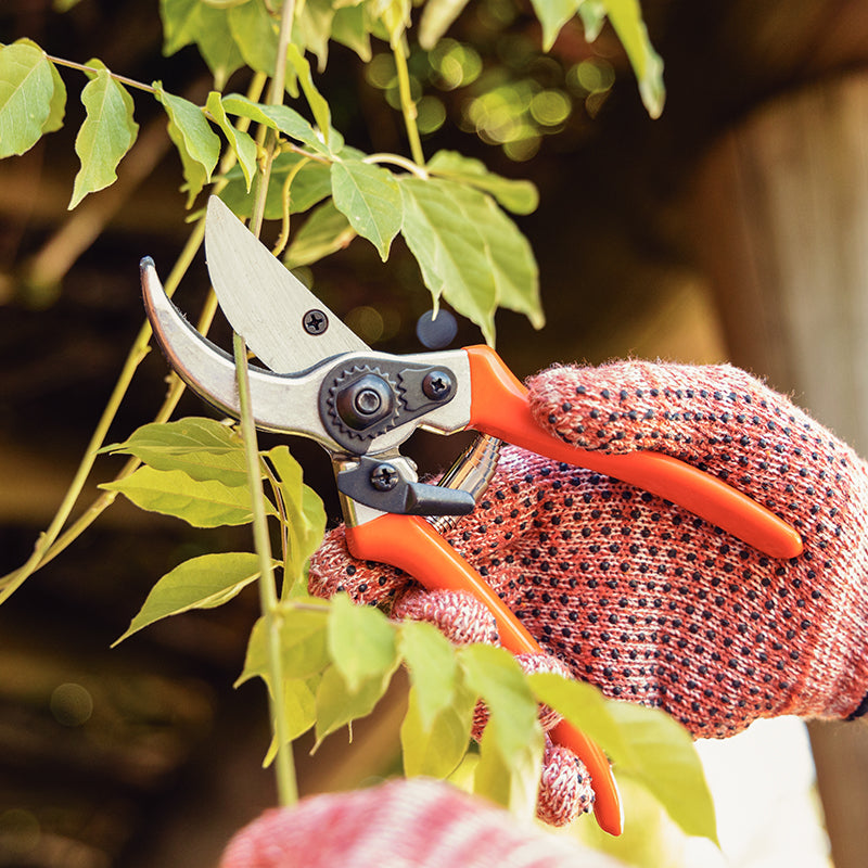 Juego de Tijeras para Poda Tramontina