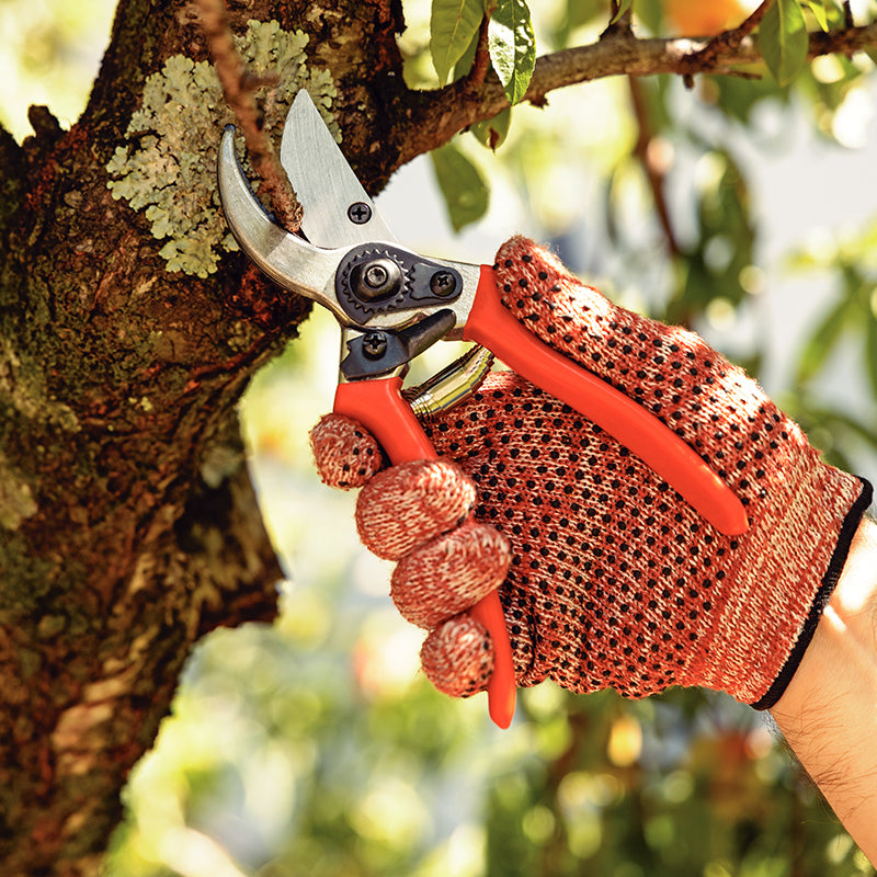 Juego de Tijeras para Poda Tramontina