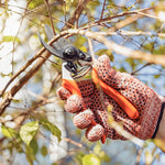 Juego de Tijeras para Poda Tramontina