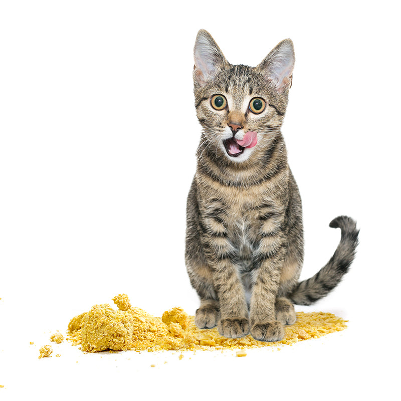 Arena De Maíz Petoys 4 kg