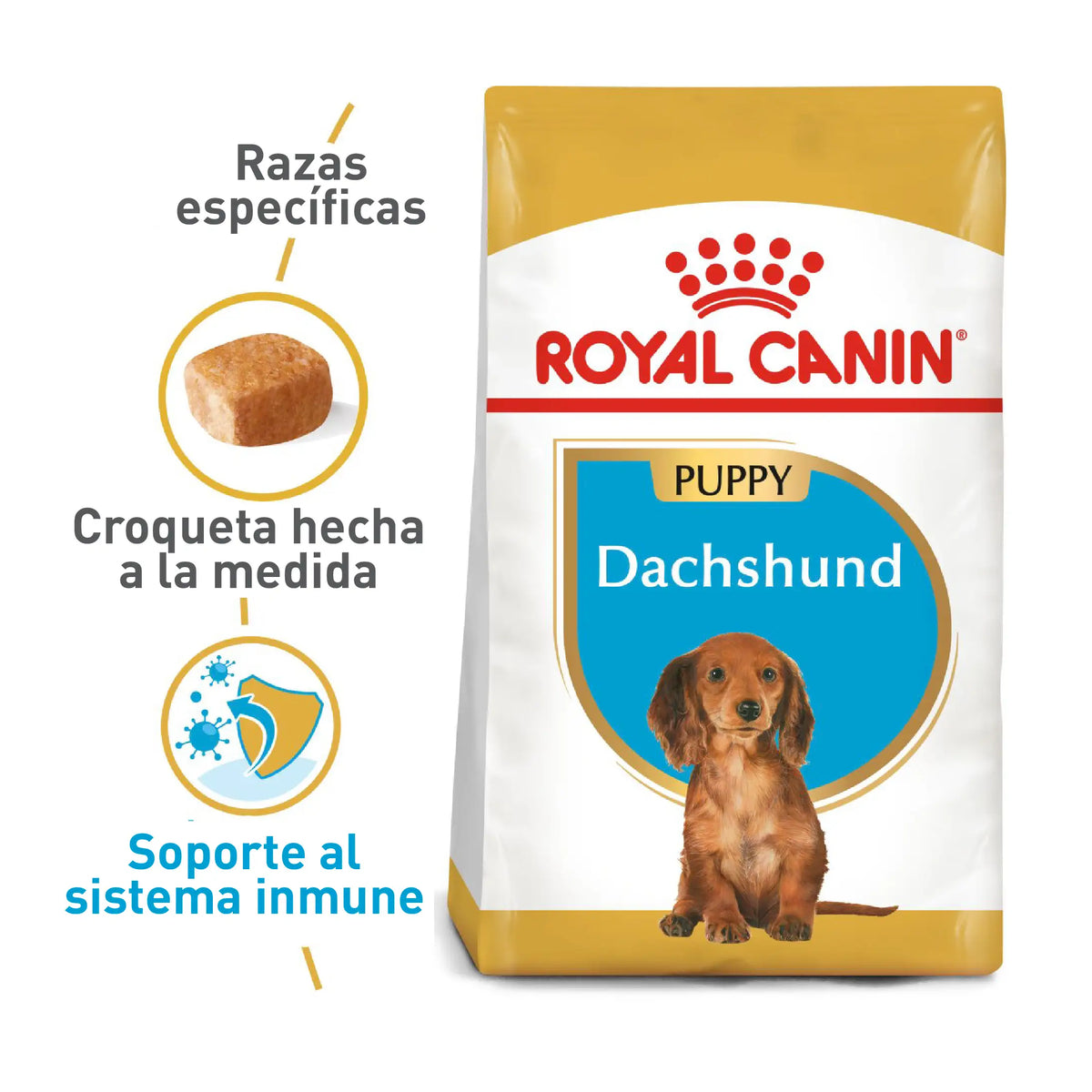Royal Canin Dachshund Puppy 1.13 kg