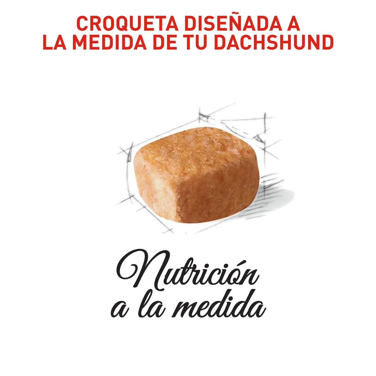 Royal Canin Dachshund Puppy 1.13 kg