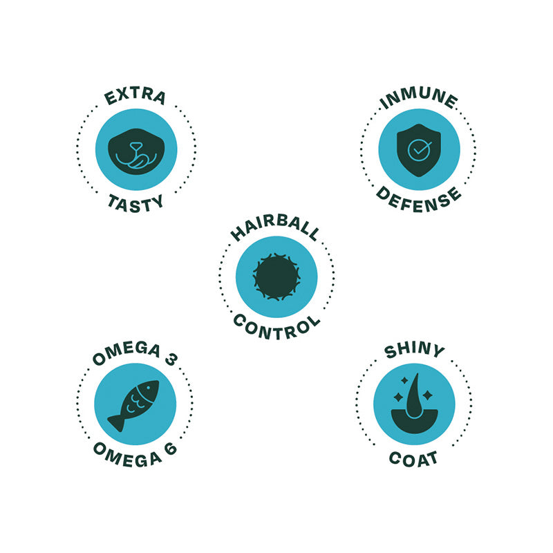 Bonnat Grain Free Gato Adult 1.5Kg