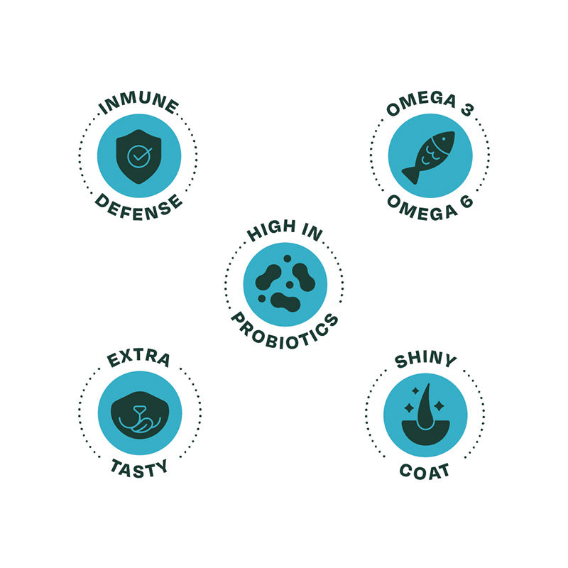 Bonnat Grain Free Gato Kitten 1.5 Kg