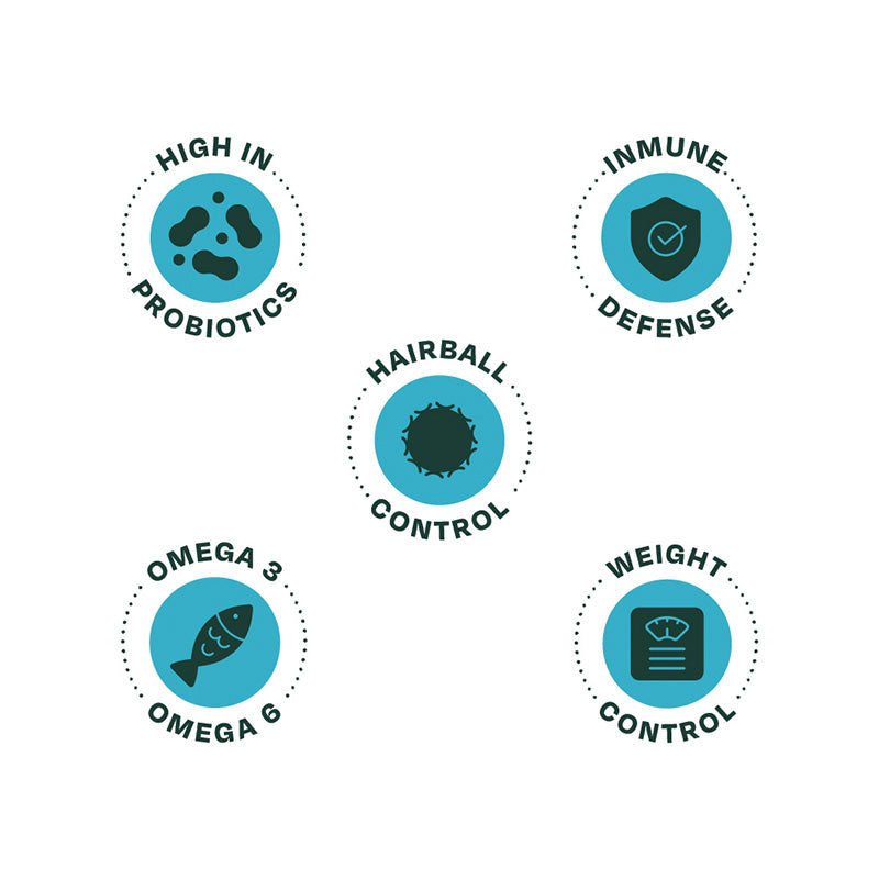 Bonnat Grain Free Gato Sterilized 1.5 Kg