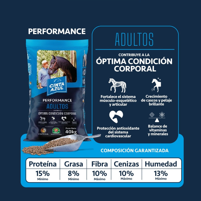 Cinta Azul Adulto x 40 Kg
