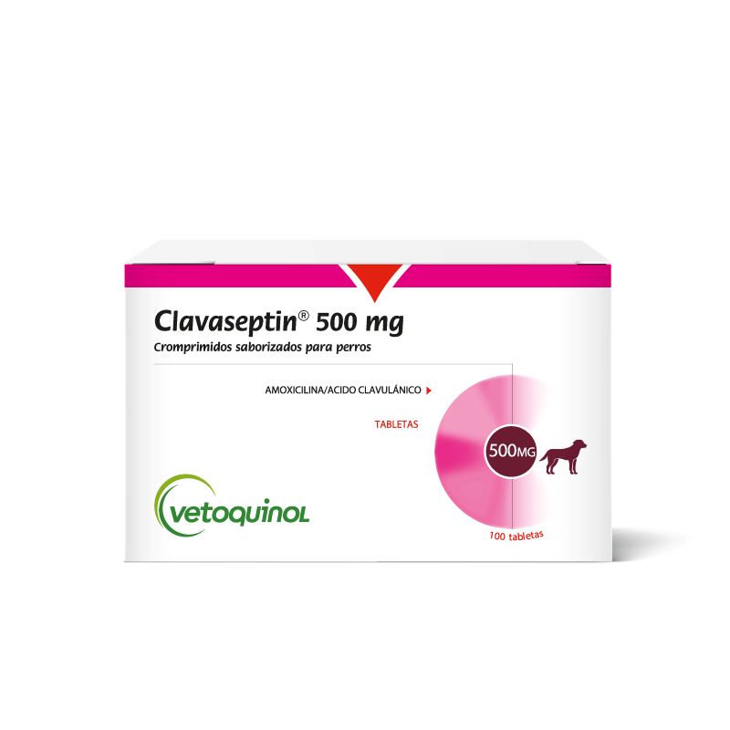 Clavaseptin Blister X 10 Tab