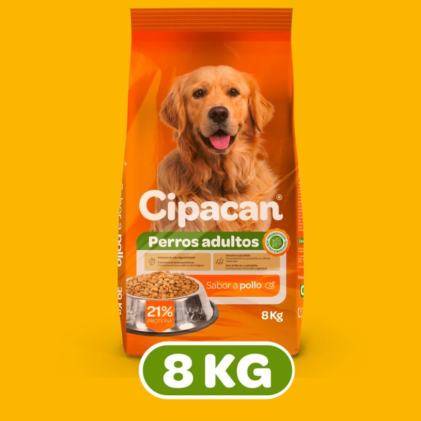 Cipacan Croquetas De Pollo