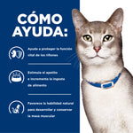 Comida Húmedapara gatos Hills Prescription Diet k/d Cuidado Renal 5.5 Onz
